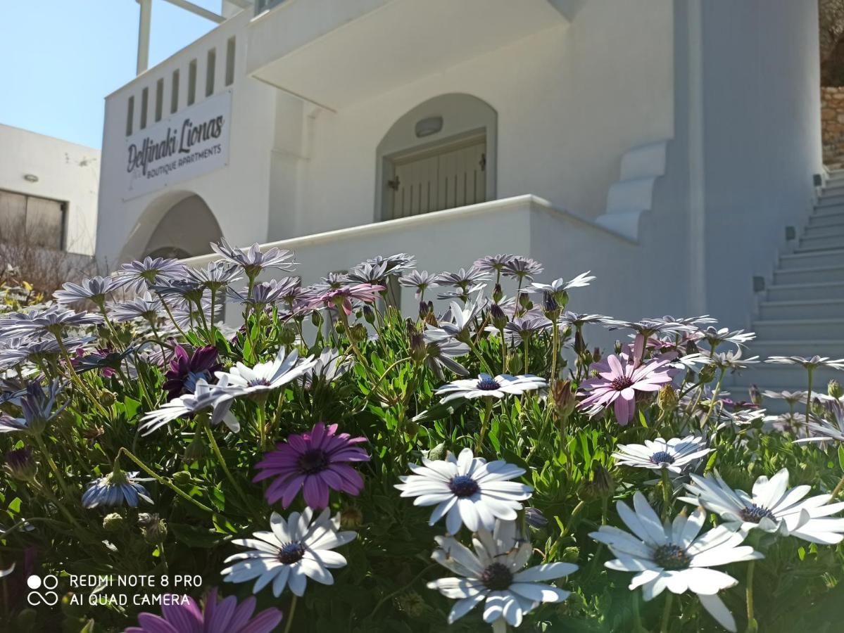Villa Delfinaki Lionas Dış mekan fotoğraf