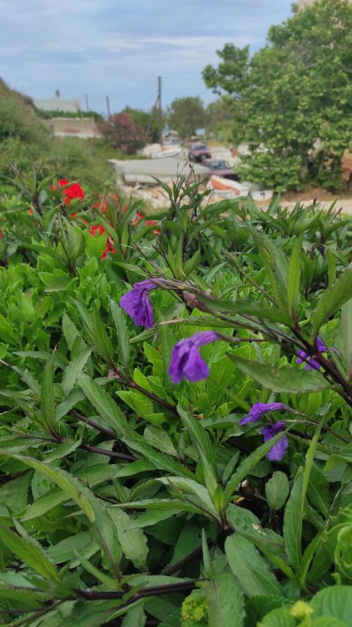 Villa Delfinaki Lionas Dış mekan fotoğraf