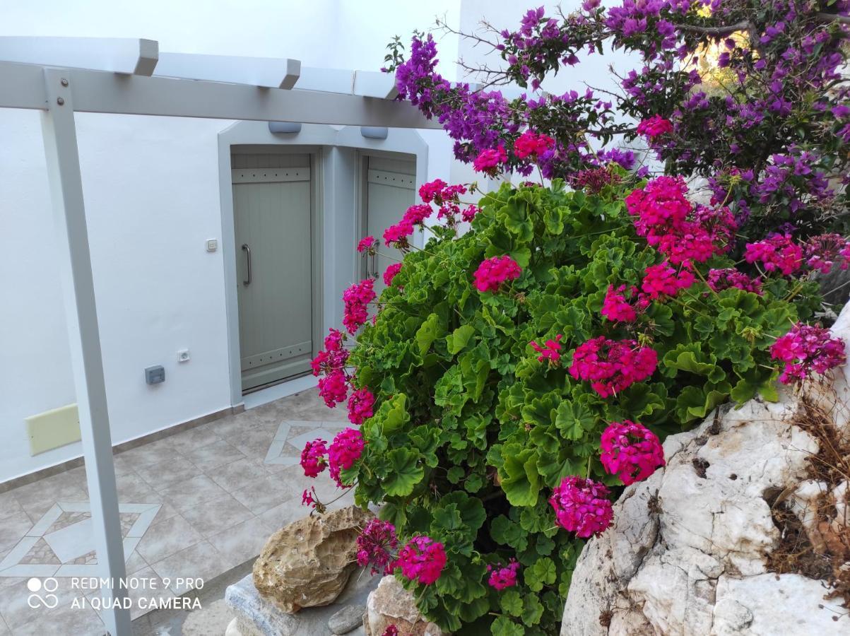 Villa Delfinaki Lionas Dış mekan fotoğraf